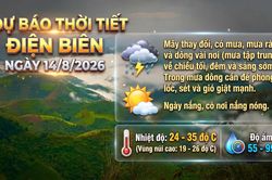 Bản tin Dự báo thời tiết ngày 14/8/2026
