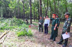 Sẵn sàng huấn luyện giai đoạn 2