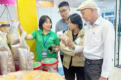 Đồng Nai tham gia Hội chợ quốc tế thương mại, du lịch và đầu tư hành lang kinh tế Đông Tây tại Đà Nẵng