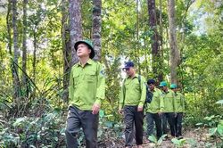 Tập trung nguồn lực, nâng hiệu quả quản lý rừng