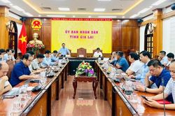 UBND tỉnh Gia Lai làm việc với chủ đầu tư các khu, cụm công nghiệp về thu hút nhà đầu tư thứ cấp