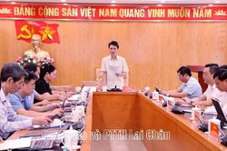 Họp về tiến độ xây dựng dược điển và bàn giải pháp phát triển sâm Lai Châu