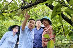 Đưa khoa học đến nhà nông