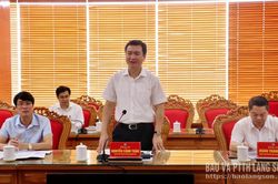 Chủ tịch UBND tỉnh làm việc với Đoàn công tác của Tập đoàn GFS
