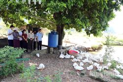 Sở Nông nghiệp và Môi trường kiểm tra công tác phòng, chống dịch bệnh gia súc, gia cầm