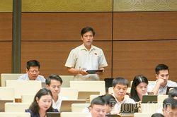 Cần c&oacute; &ldquo;l&aacute; chắn ph&aacute;p l&yacute;&rdquo; để c&aacute;c nh&agrave; khoa học y&ecirc;n t&acirc;m dấn th&acirc;n, s&aacute;ng tạo