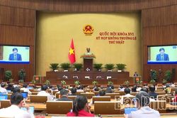 Cần có “lá chắn pháp lý” để các nhà khoa học yên tâm dấn thân, sáng tạo