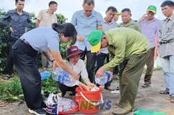 Nâng cao kiến thức khuyến nông cho nông dân