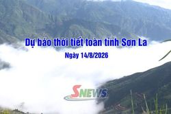 Dự báo thời tiết toàn tỉnh Sơn La ngày 14/8/2026