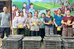 Hơn 100 hộ dân Thượng Nông được hỗ trợ phát triển chăn nuôi sinh kế