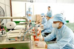 Phát triển hợp tác xã đa ngành, đa dịch vụ