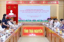 Hợp tác xây dựng các kênh thương mại điện tử xuyên biên giới cho nông sản Thái Nguyên