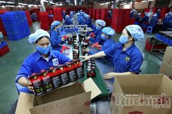 Hỗ trợ doanh nghiệp nhỏ và vừa nhận diện những sai sót, rủi ro pháp lý