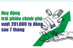 Infographics: 7 tháng, huy động trái phiếu chính phủ đạt 201.165 tỷ đồng