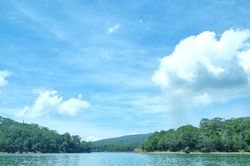 Tìm 'chủ' cho hơn 3 triệu héc ta rừng