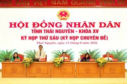 Chính sách hỗ trợ phát triển khoa học, công nghệ, đổi mới sáng tạo và chuyển đổi số trên địa bàn tỉnh Thái Nguyên: Động lực để kết quả nghiên cứu được nhân rộng, phát huy giá trị