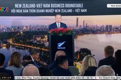Kết nối doanh nghiệp Việt Nam - New Zealand