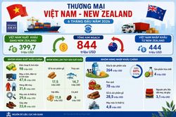 Xuất nhập khẩu Việt Nam - New Zealand: Nhiều mặt hàng tăng trưởng mạnh