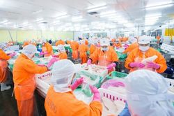 Con trai Tổng giám đốc Nam Việt mua vào một triệu cổ phiếu ANV