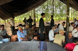 Hai vợ chồng điều hành sới gà quy mô lớn trong rẫy cao su