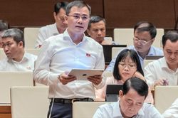 Tài nguyên tần số cần phân bổ đúng thời điểm