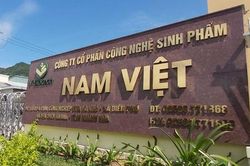 Lãnh đạo Nam Việt (ANV) gom 1 triệu cổ phiếu giữa lúc lợi nhuận quý II giảm mạnh
