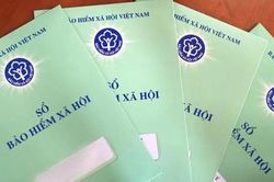 Đầu tư Thuận Lợi chậm nộp bảo hiểm hơn 3 tỷ đồng, hé mở hệ sinh thái bất động sản quy mô lớn