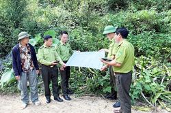 Nâng cao hiệu quả quản lý, bảo vệ rừng cộng đồng