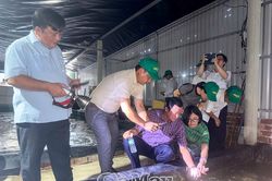 Hội Nông dân Vĩnh Long tham quan, học tập mô hình kinh tế hiệu quả tại Cà Mau