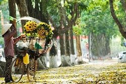 Đừng vội tìm thực phẩm 'đại bổ' mùa thu: Chuyên gia gợi ý 4 món dân dã vừa ngon vừa dễ ăn khi thời tiết chuyển mùa