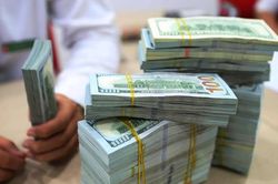 Tỷ giá ngoại tệ ngày 13/8: USD bán ra 26.270 đồng, EUR vượt 30.800 đồng