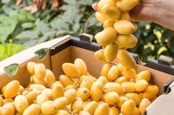 5 nhóm người nên ăn chà là thường xuyên, vừa ngon vừa bổ sung nhiều dưỡng chất