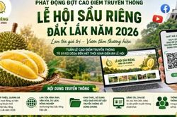 Đắk Lắk phát động cao điểm truyền thông Lễ hội Sầu riêng 2026