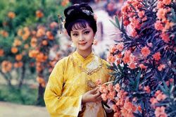 Con đường thành đại gia trăm triệu USD của mỹ nhân 'Hồng lâu mộng'