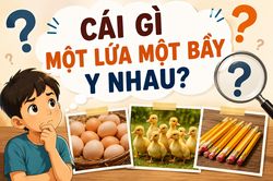 Giải đáp câu hỏi: Cái gì một lứa một bầy như nhau?