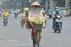 Dự báo thời tiết miền Nam ngày mai 14/8: Ban ngày trời nắng, chiều tối mưa dông
