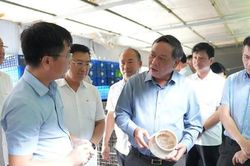 Vườn Chuối &ndash; Từ di chỉ khảo cổ đến kh&ocirc;ng gian di sản của Thủ đ&ocirc;