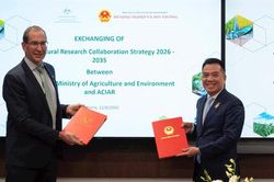 Công bố Chiến lược hợp tác nghiên cứu nông nghiệp trị giá 3,3 triệu đô la Úc dành cho Việt Nam