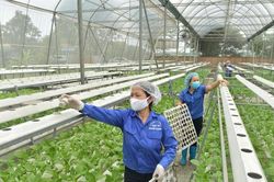 Ứng dụng công nghệ cao, mở hướng phát triển mới cho trồng trọt