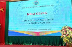 Tập huấn công tác quản lý và kiểm soát hợp tác xã tại các xã Thanh Oai, Tam Hưng, Bình Minh, Dân Hòa