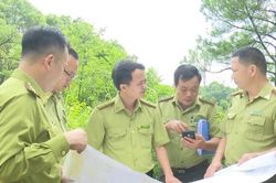 Hà Nội rà soát hiện trạng, làm cơ sở điều tra rừng