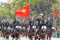 '81 mùa bình yên'