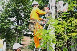 Lịch cúp điện Cà Mau từ ngày 13 - 16/8/2026: Nhiều khu dân cư sẽ bị cúp điện từ 6h đến 17h30 để phục vụ sửa chữa