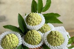 Tiểu thương lý giải giá na dai Đồng Bành cao hơn so với những loại khác nhưng vẫn được người tiêu dùng đặt mua không ngớt