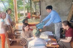 Sốt rét phía Nam: Ca bệnh giảm, nguy cơ ngoại lai tăng