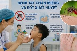 Dịch tay chân miệng và sốt xuất huyết tại Lâm Đồng diễn biến phức tạp