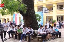 Học sinh, sinh viên được hỗ trợ tối thiểu 50% mức đóng BHYT