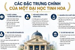 Đại học tinh hoa Việt Nam: Cần mô hình riêng, không thể sao chép