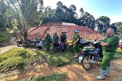 50 người tìm kiếm cụ ông 92 tuổi vào rừng cắt cỏ, mất tích