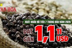 Hồ tiêu Việt Nam thu gần 1,1 tỉ USD sau 7 tháng, tăng 11,1% so với cùng kỳ